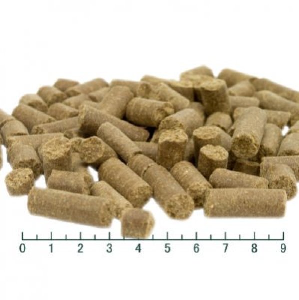 最短賞味2026.1.25・トライバル フレッシュ チキン 400g 成犬用ドライ