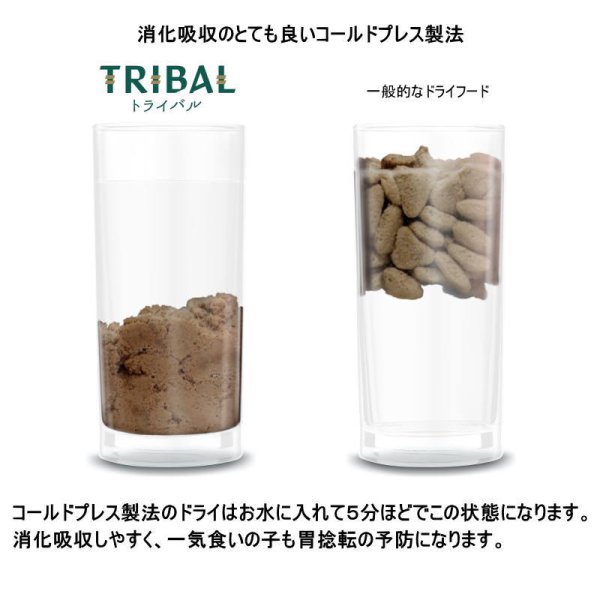最短賞味2027.8.16・トライバル フレッシュ チキン 400g 成犬用ドライ