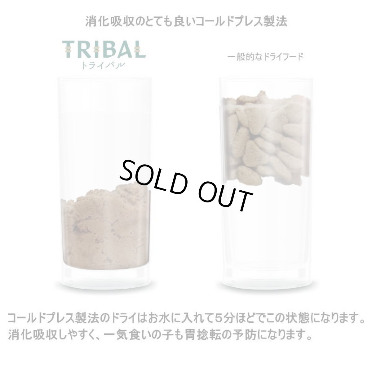 画像6: 最短賞味2027.2.1・トライバル フレッシュ ターキー 400g 成犬用ドライ ドッグフードTRIBAL正規品tr21510※在庫限り終売 (6)
