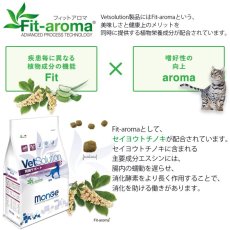 画像4: NEW 最短賞味2024.9.1・ベッツソリューション 猫用 胃腸サポート 400g療法食 消化器疾患対応 モンジ正規品ve83019 (4)