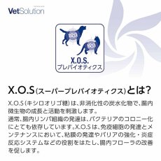 画像9: 最短賞味2026.8.28・リニューアル品ベッツソリューション 猫用 腎臓サポート 400g療法食 腎臓疾患対応 正規品ve83040 (9)