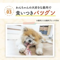 画像6: NEW 最短賞味2029.6・わんぽうやく犬用 メンエキサプリ 和漢素材 20g wan07769免疫力 腫瘍 赤尾漢方薬局 (6)