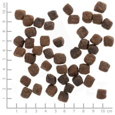 画像2: 最短賞味2027.5.29・ウルフブラット グレイピーク スモールブリード ヤギとスイートポテト 50g成犬用ドッグフードWOLFSBLUT正規品wb50403 (2)
