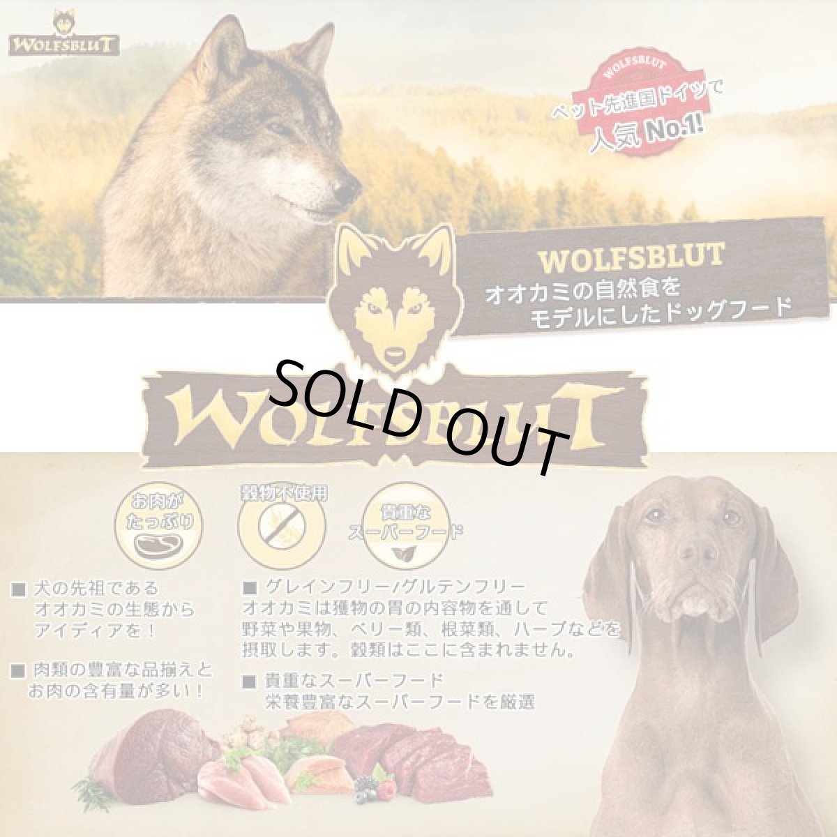 画像5: 500g×4個対応・最短賞味2027.10.16・ウルフブラット ワイドプレーン アダルト ホースとスイートポテト 2kg成犬用ドッグフード※在庫限り終売wb64218 (5)