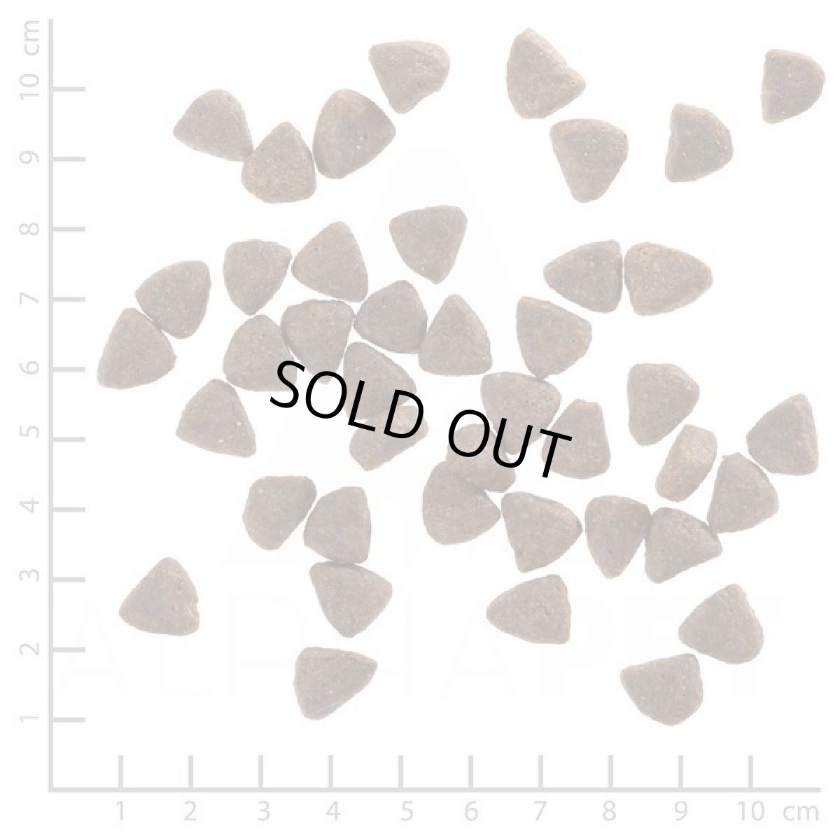 画像2: 最短賞味2028.1.22・ウルフブラット ワイドプレーン スモールブリード ホースとスイートポテト 2kg成犬用ドッグフード※在庫限り終売wb64522 (2)