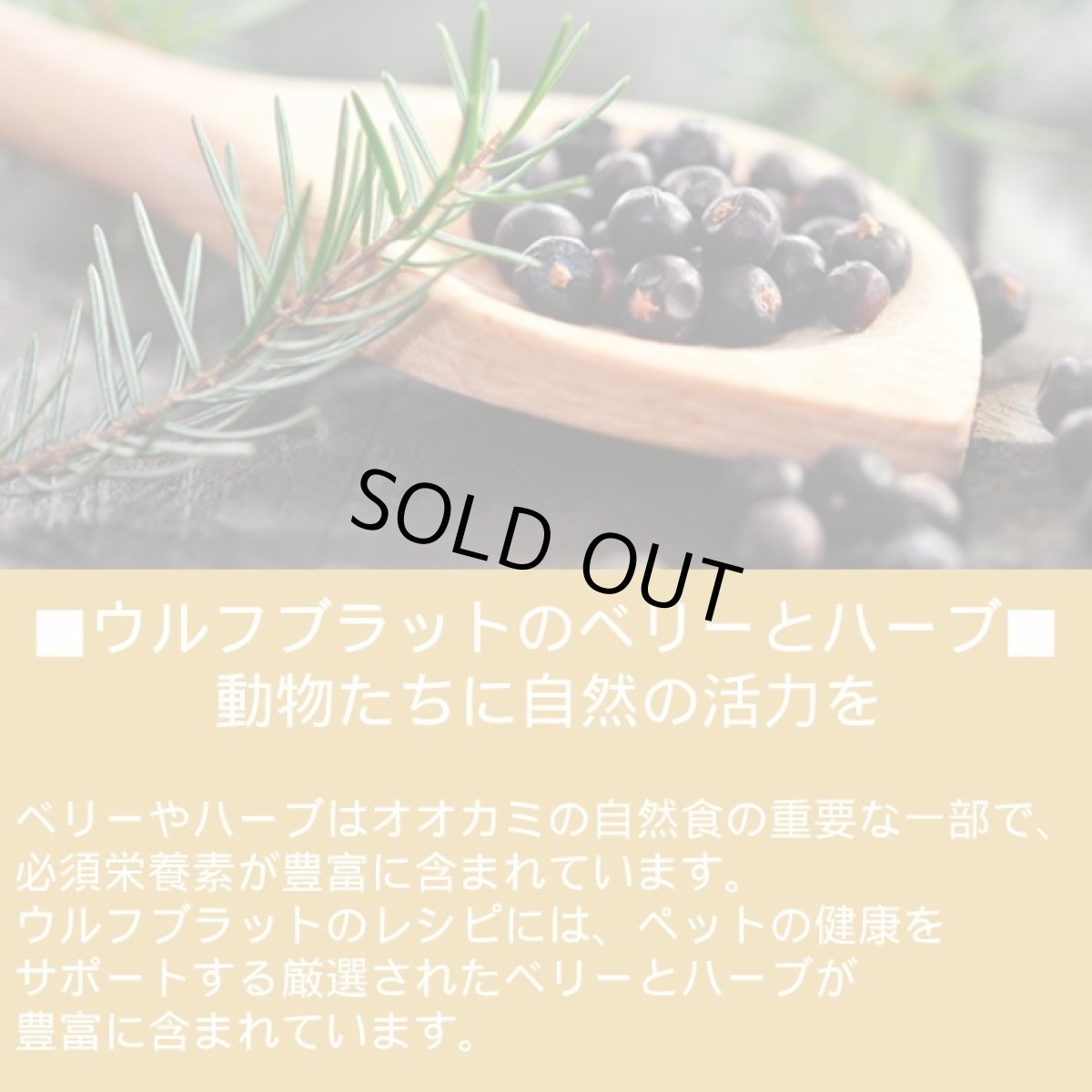 画像9: 最短賞味2027.5.29・ウルフブラット グレイピーク スモールブリード ヤギとスイートポテト 2kg成犬用ドッグフード※在庫限り終売wb65925 (9)