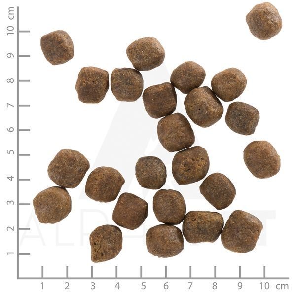 ウルフブラット アダルト コールドリバー（マスとスイートポテト） 12.5kg+国産鹿のスペアリブ ショートカット 2本入り ウルフブラット アダルト コールドリバー（マスとスイート