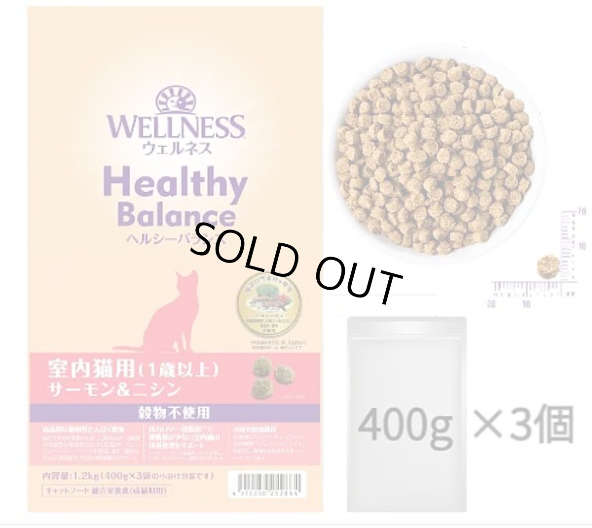 画像3: SALE/賞味切迫2026.11.25・ウェルネス 猫 ヘルシーバランス サーモン＆ニシン1.2kg(400g×3袋)室内猫用(1歳以上)キャットフード正規品we52864 (3)