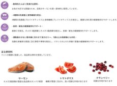 画像4: NEW 最短賞味2025.3.12・ウェルネス 猫 ヘルシーバランス サーモン＆ニシン1.2kg(400g×3袋)室内猫用(1歳以上)キャットフード正規品we52864 (4)