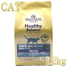 画像1: NEW 最短賞味2024.8.9・ウェルネス 猫 ヘルシーバランス プロテインケア1.2kg(400g×3袋)成猫用(1歳以上)キャットフード正規品we62863 (1)
