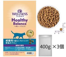 画像3: NEW 最短賞味2024.8.9・ウェルネス 猫 ヘルシーバランス プロテインケア1.2kg(400g×3袋)成猫用(1歳以上)キャットフード正規品we62863 (3)