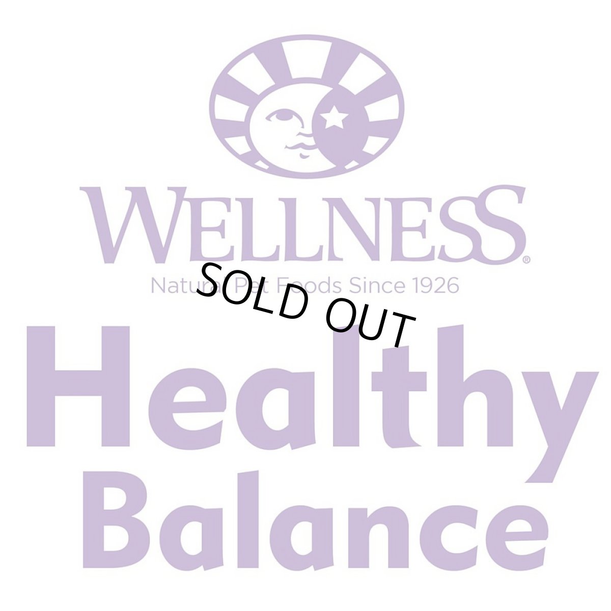 画像5: 最短賞味2026.7.17・ウェルネス 仔猫 ヘルシーバランス 子猫用(離乳期〜1歳)300gキャットフード正規品we72879 (5)