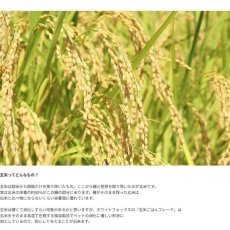 画像3: 最短賞味2026.12・ホワイトフォックス 玄米ごはんフレーク 100g犬猫用手作りごはんwhitefox wf70113 (3)