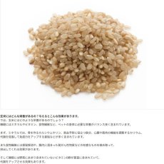 画像4: 最短賞味2026.12・ホワイトフォックス 玄米ごはんフレーク 100g犬猫用手作りごはんwhitefox wf70113 (4)