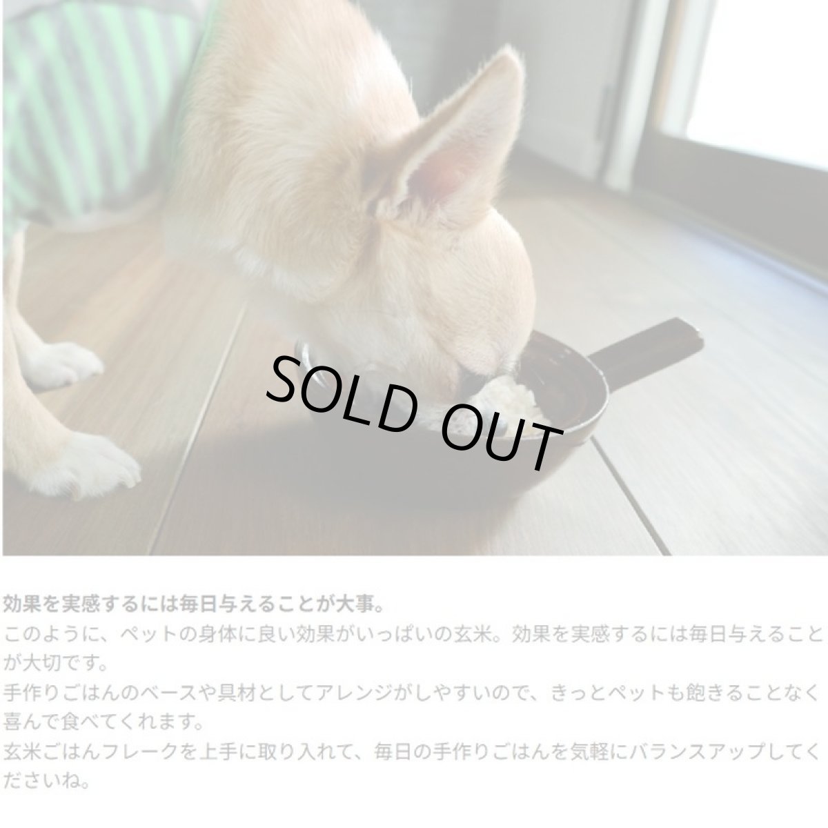 画像6: 最短賞味2027.4・ホワイトフォックス 玄米ごはんフレーク 300g犬猫用手作りごはんwhitefox wf70137 (6)