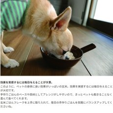 画像6: 最短賞味2027.1・ホワイトフォックス 玄米ごはんフレーク 300g犬猫用手作りごはんwhitefox wf70137 (6)