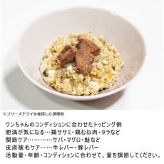 画像3: 最短賞味2026.4・ホワイトフォックス ベースデリ フルーツ70g犬用手作りごはんwhitefox BASE DELI wf70168 (3)