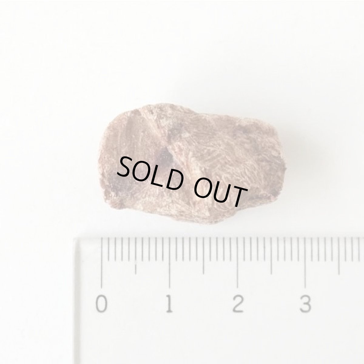 画像2: 最短賞味2027.2・ホワイトフォックス 牛レバーのフリーズドライ 犬猫 30g犬猫用おやつwf70854正規品 (2)