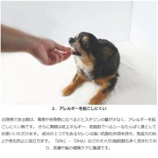 画像6: NEW 最短賞味2027.4・ホワイトフォックス 北海道産真鱈のフリーズドライ ダイスカット12g犬猫用おやつwf71134正規品 (6)