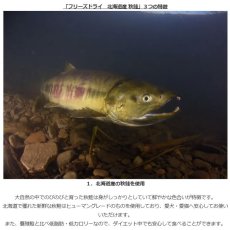 画像5: NEW 最短賞味2027.4・ホワイトフォックス 北海道産秋鮭のフリーズドライ ダイスカット 120g犬猫用おやつwf71196正規品 (5)