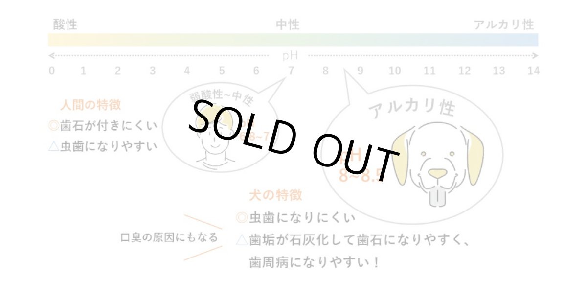 画像6: 最短賞味2027.4・ホワイトフォックス ウラジロガシのはみがきガム 30本 犬用おやつwf72551正規品 (6)