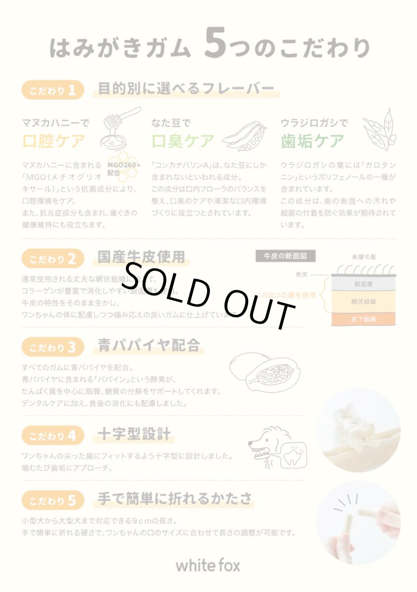 画像7: 最短賞味2027.4・ホワイトフォックス ウラジロガシのはみがきガム 30本 犬用おやつwf72551正規品 (7)
