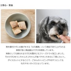 画像7: NEW 最短賞味2027.3・ホワイトフォックス 国産マグロのフリーズドライ ダイスカット 100g犬猫用おやつwf73039正規品 (7)