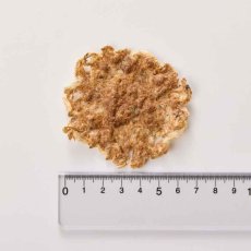 画像3: NEW 最短賞味2027.8・ホワイトフォックス 瀬戸内海産ふんわり焼きちりめん あじ 8g wf75316犬猫用おやつ ふりかけ white fox (3)