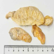 画像3: NEW 最短賞味2027.8・ホワイトフォックス 瀬戸内海産 焼き えい 20g wf75330犬猫用おやつ white fox (3)