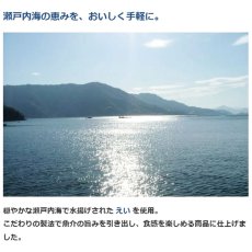 画像7: NEW 最短賞味2027.8・ホワイトフォックス 瀬戸内海産 焼き えい 20g wf75330犬猫用おやつ white fox (7)