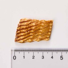 画像3: NEW 最短賞味2027.8・ホワイトフォックス キャット瀬戸内海産 焼き えいひれ 20g wf75347猫用おやつ white fox (3)