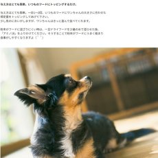 画像4: 最短賞味2027.10・ホワイトフォックス アミノ18・50g 犬猫用サプリメント関節/皮膚ケアwhite fox正規品wf77006 (4)
