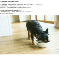 画像3: NEW 最短賞味2027.12・ホワイトフォックス アミノ18・1kg 犬猫用サプリメント関節/皮膚ケアwhite fox正規品wf77105 (3)