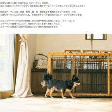 画像5: NEW 最短賞味2027.12・ホワイトフォックス アミノ18・1kg 犬猫用サプリメント関節/皮膚ケアwhite fox正規品wf77105 (5)