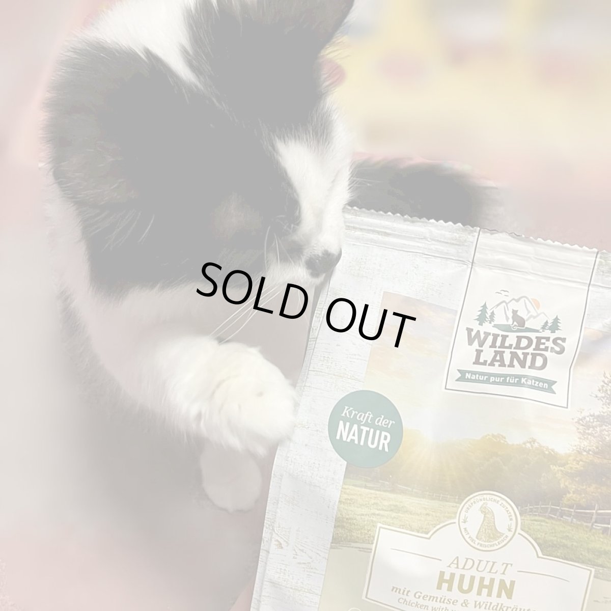 画像6: 最短賞味2026.4・ワイルドランド 猫 チキン400g/wl05634成猫用総合栄養食/穀物不使用WILDES LAND正規品 (6)