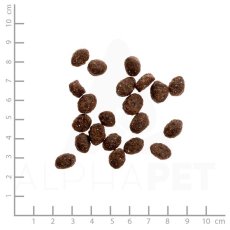 画像2: 最短賞味2026.6・ワイルドランド 猫 ビーフ＆ダック400g/wl05696成猫用総合栄養食/穀物不使用WILDES LAND正規品 (2)
