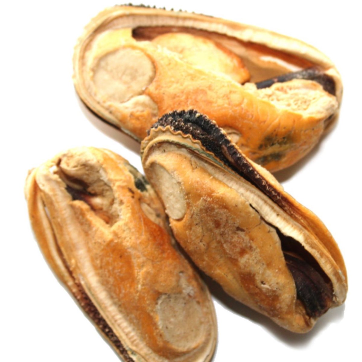 画像2: 最短賞味2027.7・WOOF・ワフ グリーンリップドマッスル50g犬用おやつフリーズドライ正規品wo44113 (2)