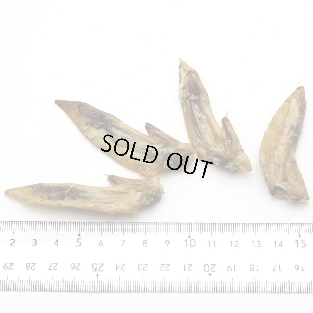 画像2: 最短賞味2025.7・WOOF・ワフ チキン ウィング ティップ50g犬用おやつエアドライwo78678正規品 (2)