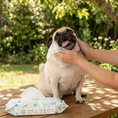 画像4: NEW WOOF・ワフ マヌカハニー入り ドッグワイプ80枚入り 全犬種・猫もおすすめ wo78722 (4)