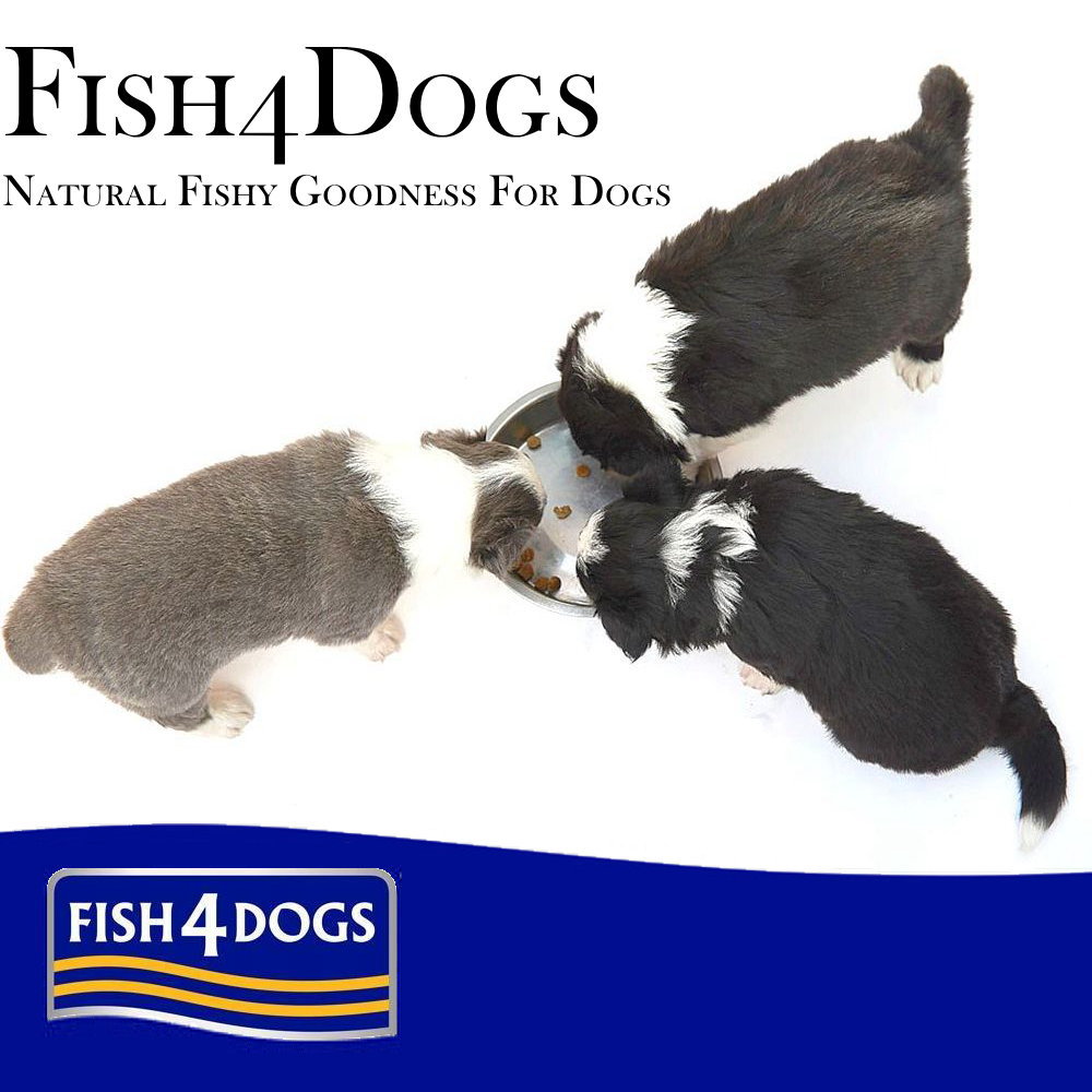 FISH4DOGS 【フィッシュ４ドッグ】