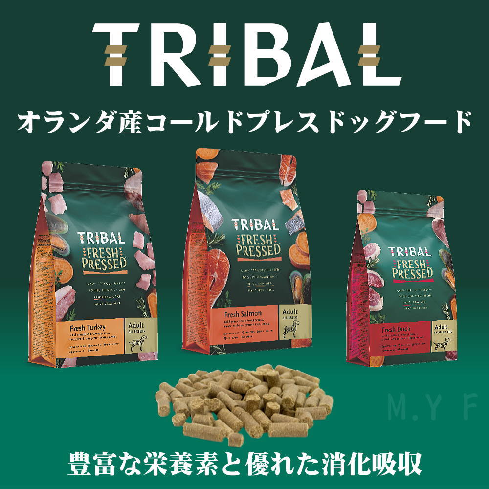 トライバル【TRIBAL】 - なちゅのごはん本店