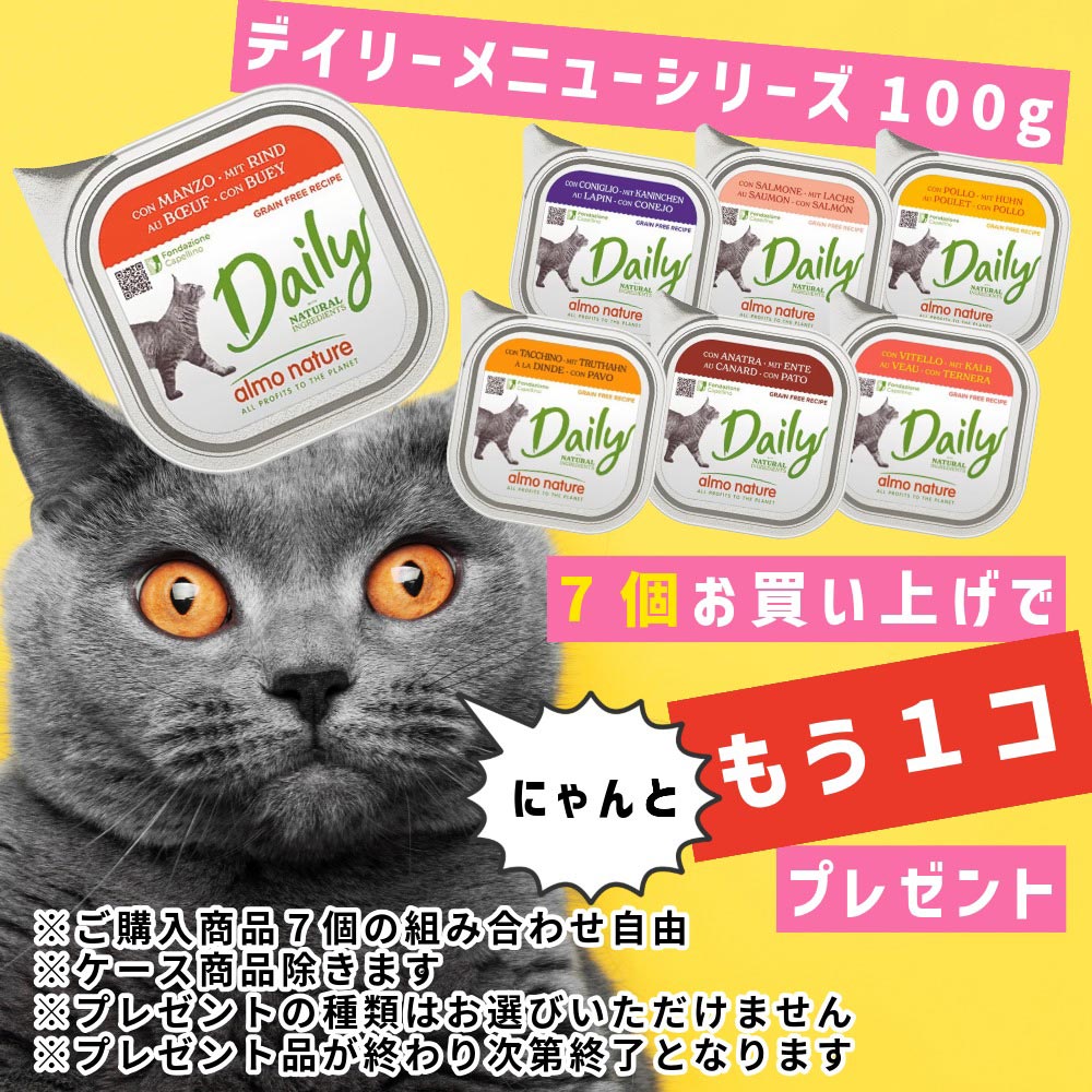 アルモ猫デイリー100