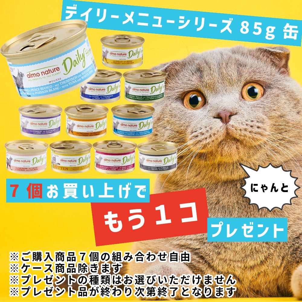 アルモ猫デイリー85