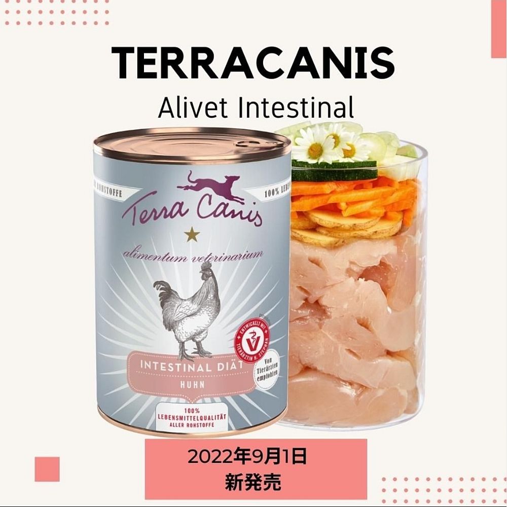 ティキキャット ベルベット - なちゅのごはん本店