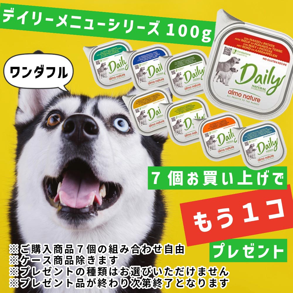 アルモ犬デイリー