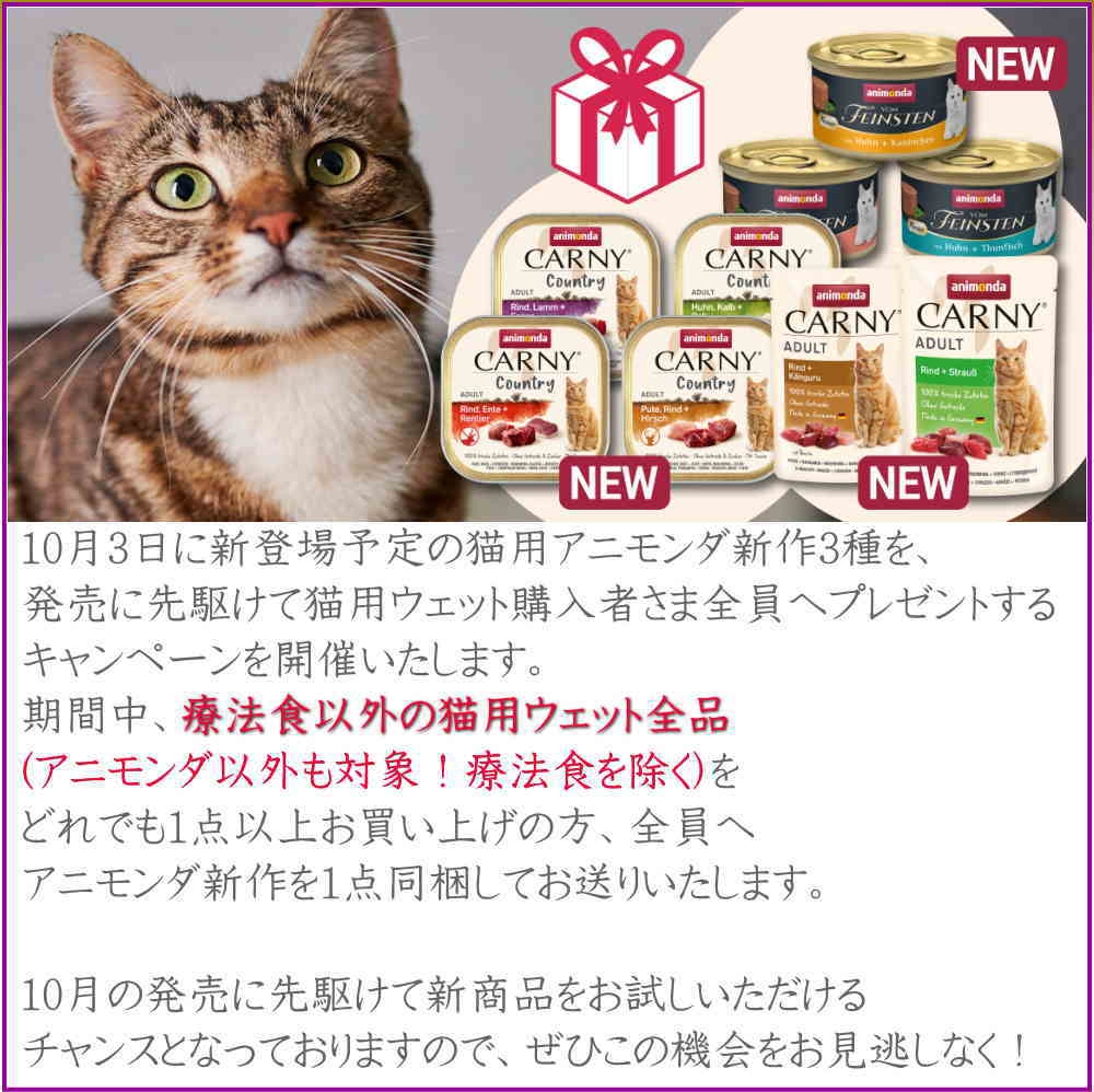 最短賞味2024.3・アルモネイチャー 猫 オーガニックキャット85 チキン85g alc451ウェット総合栄養食 almo nature正規品 -  なちゅのごはん本店
