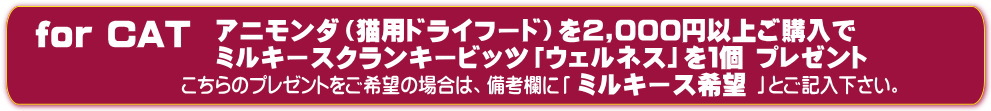 にゃんプレ
