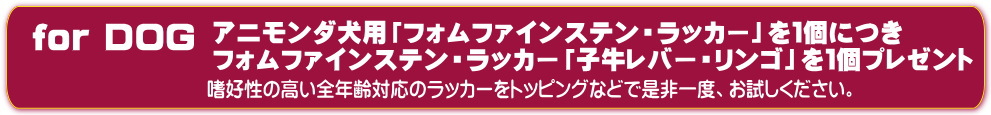 わんプレ