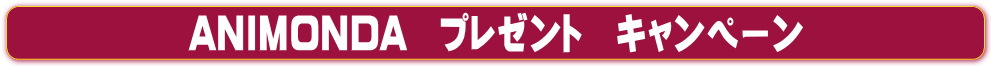 アニモンダ・プレゼント
