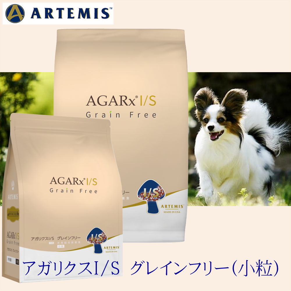 アーテミスIS